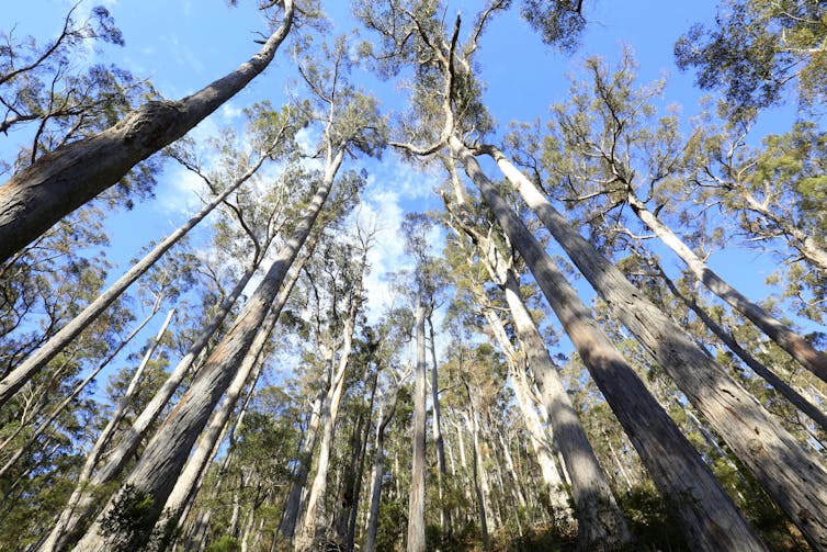 Australia could fall apart under climate change. But there's a way to avoid it