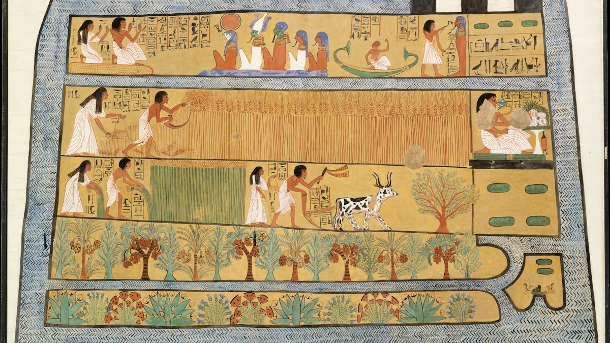 What 3 000 Year Old Egyptian Wheat Tells Us About The Genetics Of Our Daily Bread What 3 000 Year Old Egyptian Wheat Tells Us About The Genetics Of Our Daily Bread