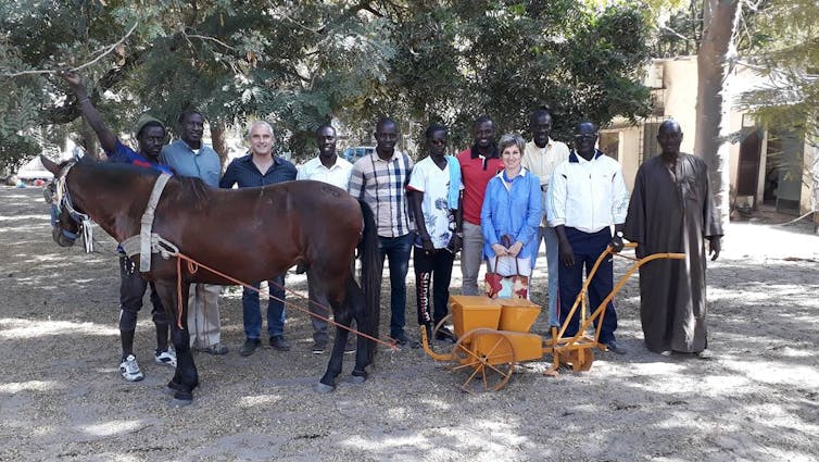 file 20191105 88372 klbae8.jpg?ixlib=rb 1.1 - Senenews - Actualité au Sénégal, Politique, Économie, Sport