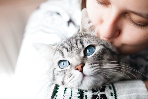 C Est Prouve Les Chats Nous Aiment C Est Prouve Les Chats Nous Aiment