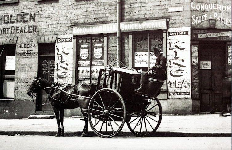 Hidden women of history: Frances Levvy, Australia's quietly radical early animal rights campaigner