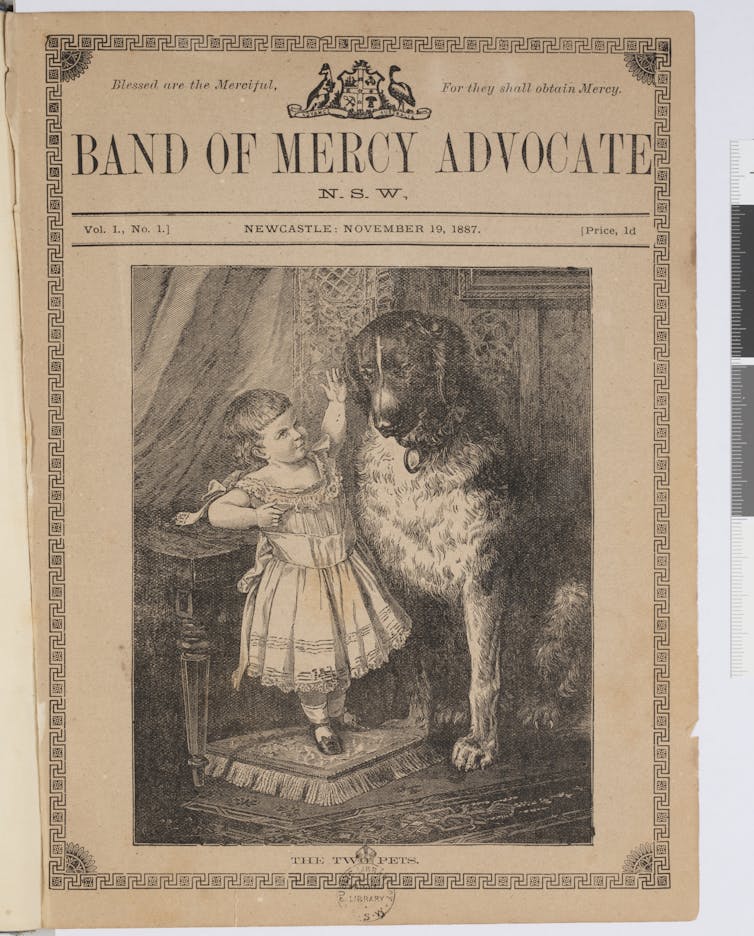 Hidden women of history: Frances Levvy, Australia's quietly radical early animal rights campaigner