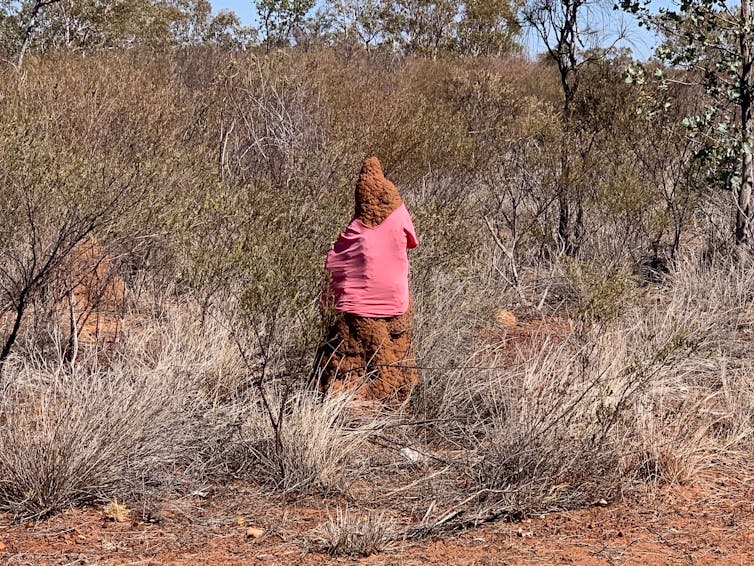 What the termite mound 'snowmen' of the NT can tell us about human nature