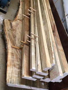 When a tree dies, don't waste your breath. Rescue the wood to honour its memory