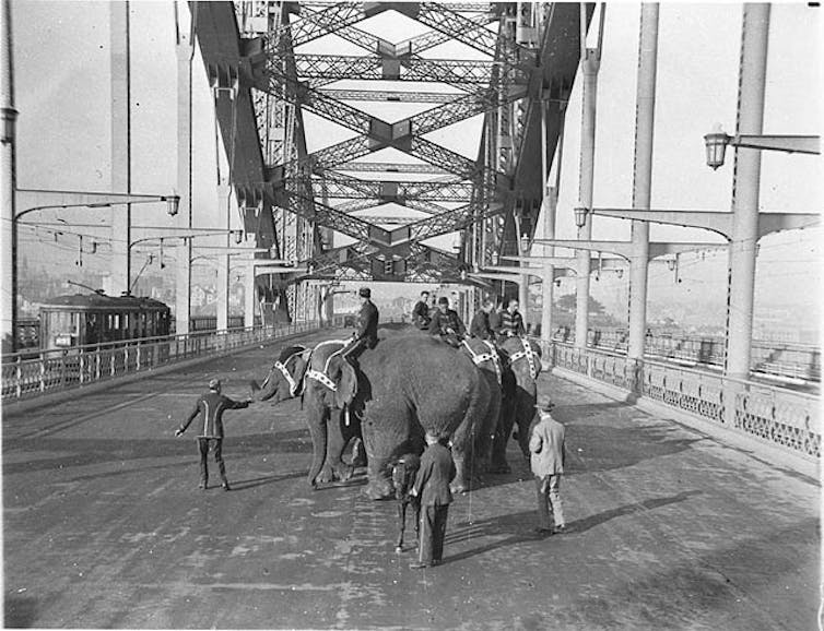 Hidden women of history: Frances Levvy, Australia's quietly radical early animal rights campaigner