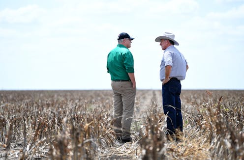 Government sets up concessional loan scheme for drought-hit small businesses