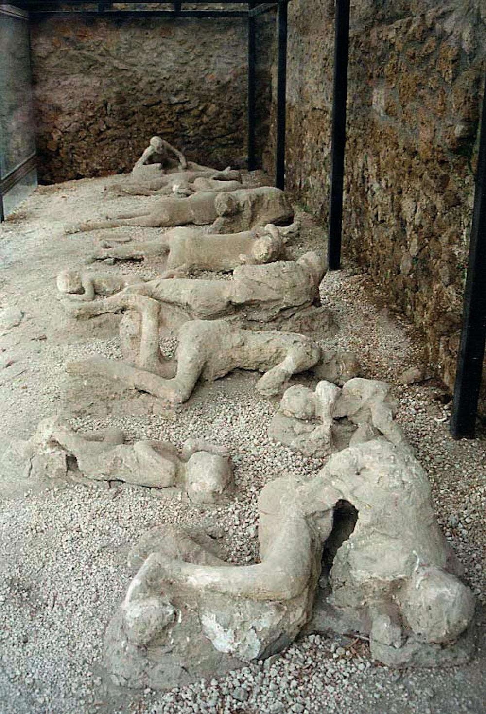 The Human Body Never Truly Disappears Finding The Remnants Of A Tragic End Can Help Us Uncover Atrocities