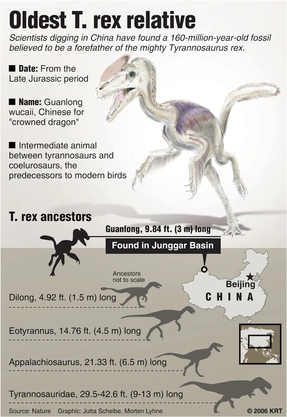 Datanglong Size Guanlong Size