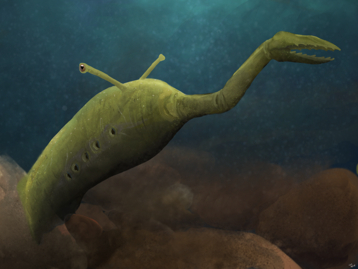 The Mysterious Tully Monster Fossil Just Got More Mysterious