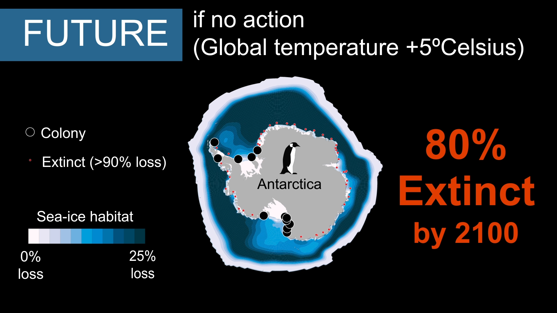 Emperor Penguins Could March To Extinction If Nations Fail To Halt ...