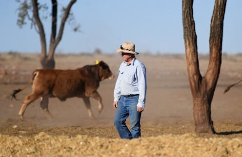 Michelle Grattan on the government's drought relief package and Labor's election post-mortem