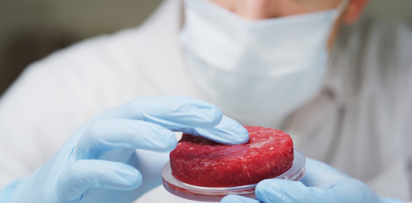 La Viande Cultivee En Laboratoire Pose Plus De Problemes Qu Elle N En Resout La Viande Cultivee En Laboratoire Pose Plus De Problemes Qu Elle N En Resout
