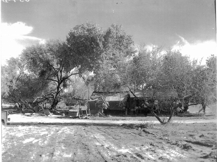 Trump's border wall threatens an Arizona oasis with a long, diverse history