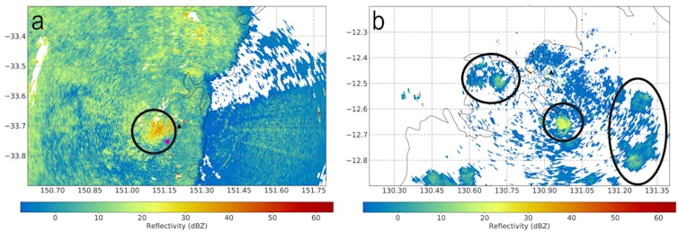 How weather radar can keep tabs on the elusive magpie goose