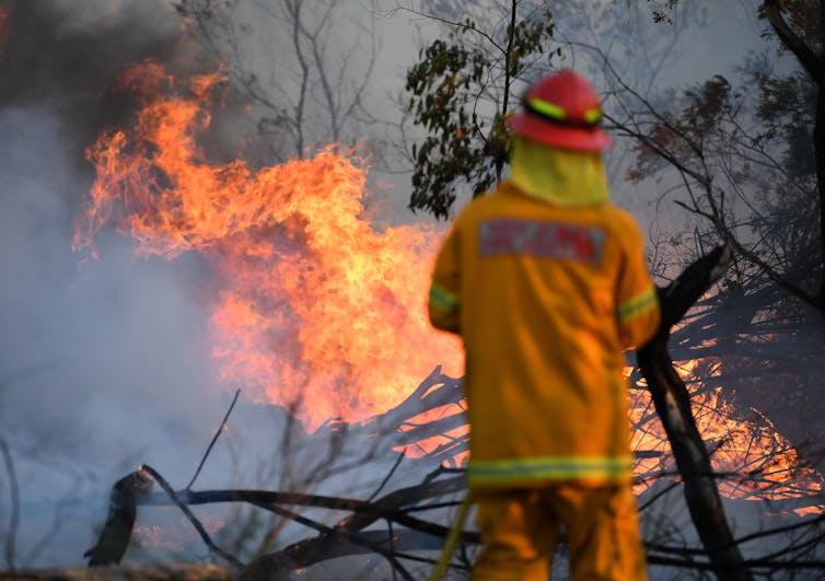 Drought and climate change were the kindling, and now the east coast is ablaze