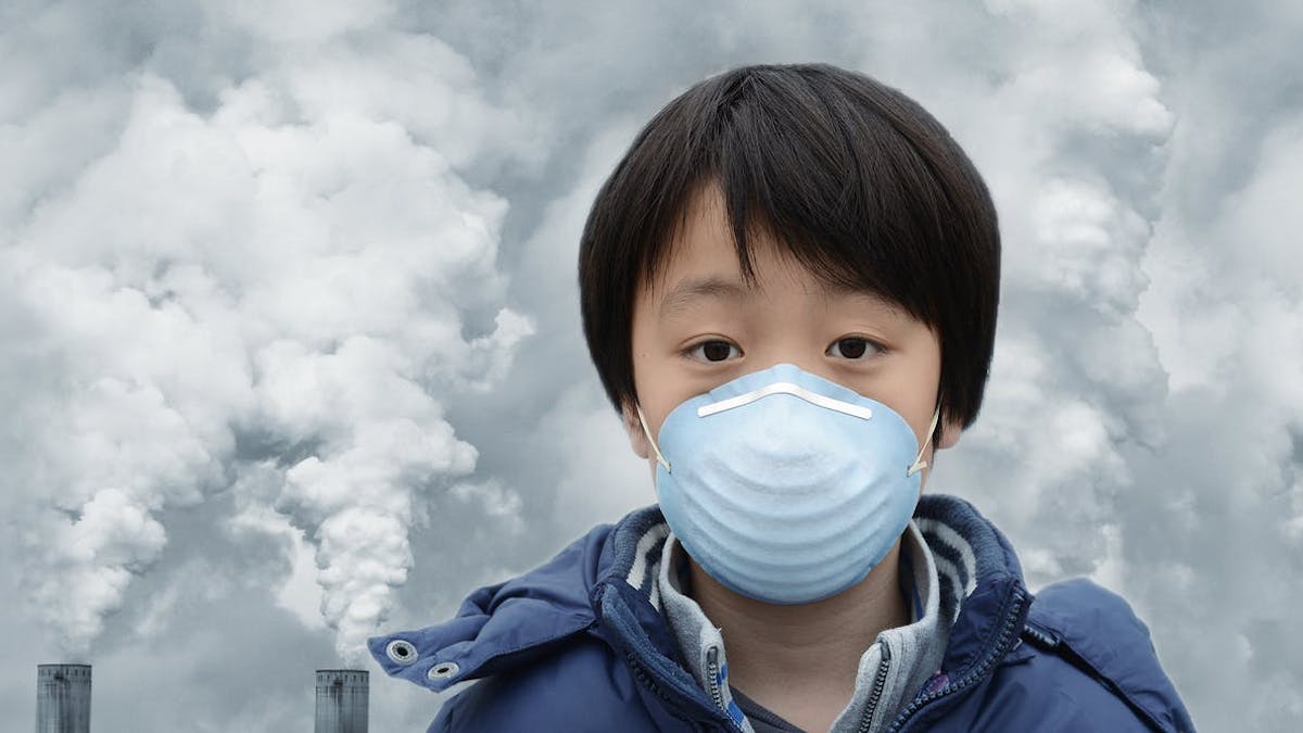 Ada Cara Baru Menghilangkan Polutan Berbahaya Dari Bensin Dan Batu Bara Dengan Murah Ini Temuan Ahli