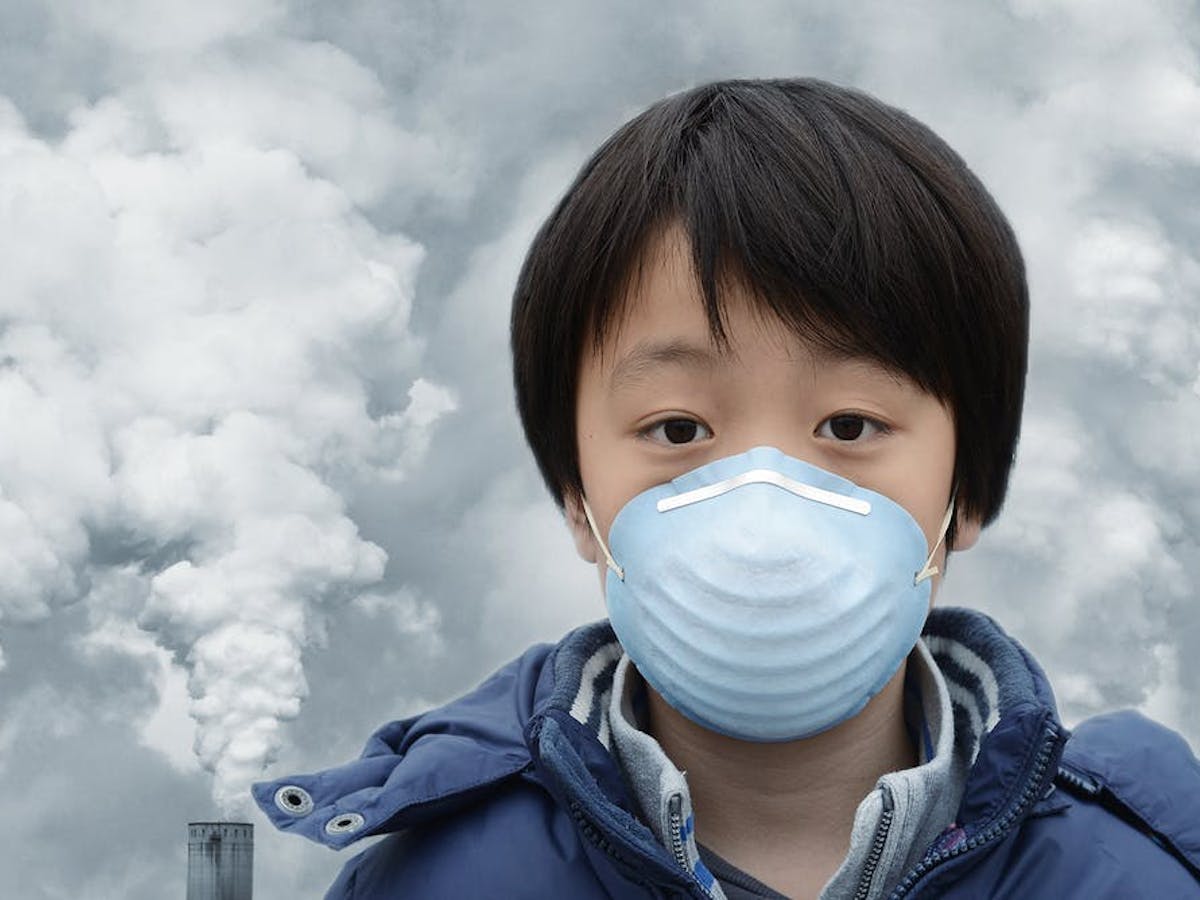 Ada Cara Baru Menghilangkan Polutan Berbahaya Dari Bensin Dan Batu Bara Dengan Murah Ini Temuan Ahli Ada Cara Baru Menghilangkan Polutan Berbahaya Dari Bensin Dan Batu Bara Dengan Murah Ini Temuan Ahli