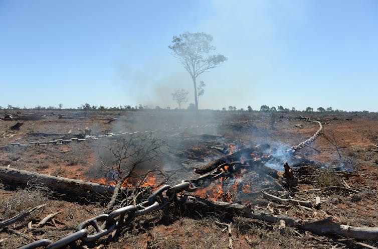 Farmers, murder and the media: getting to the bottom of the city-country divide