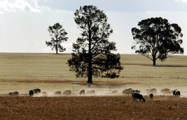 getting to the bottom of the city-country divide