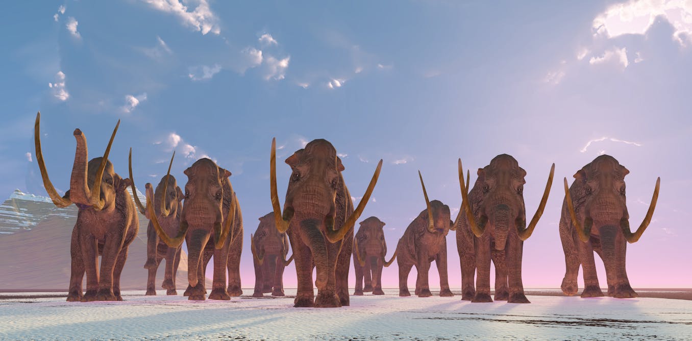Ice Age footprints of mammoths and prehistoric humans revealed for the first time using radar