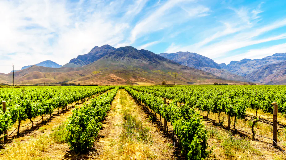 Sa Farming South Africa Agriculture Climate Change – KQTRUC