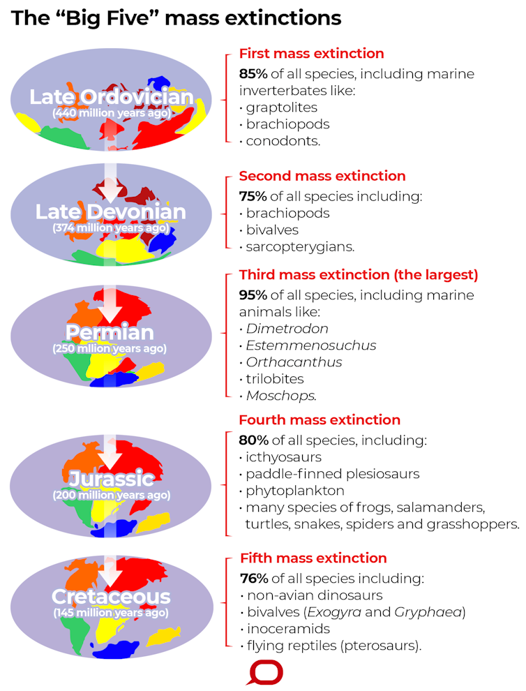 What is a 'mass extinction' and are we in one now?