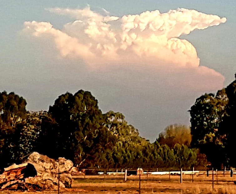 how bushfires create their own ferocious weather systems