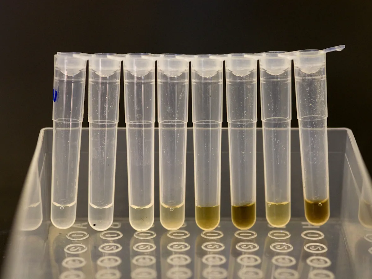 dna database