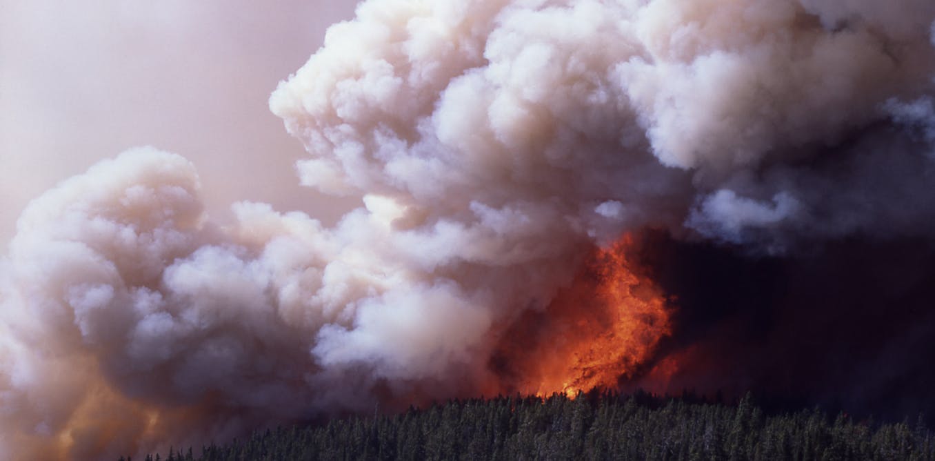 Firestorms and flaming tornadoes: how bushfires create their own ferocious weather systems