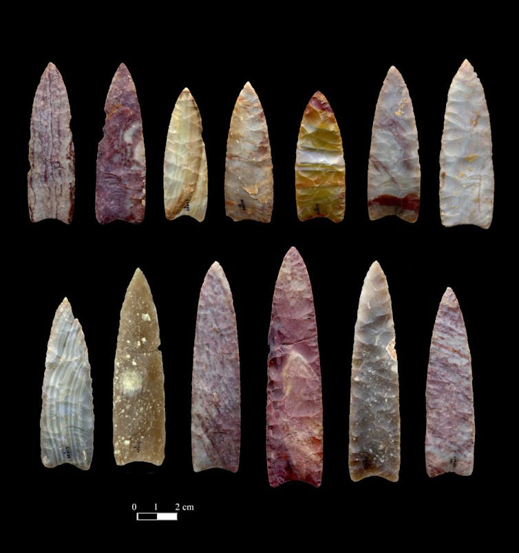 Puntas de lanza de 13 000 años de antigüedad halladas en Colorado (Estados Unidos). Chip Clark, Smithsonian Institution