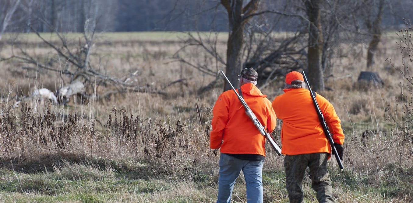 South Africa struggles to manage wildlife ranching: why it’s a problem