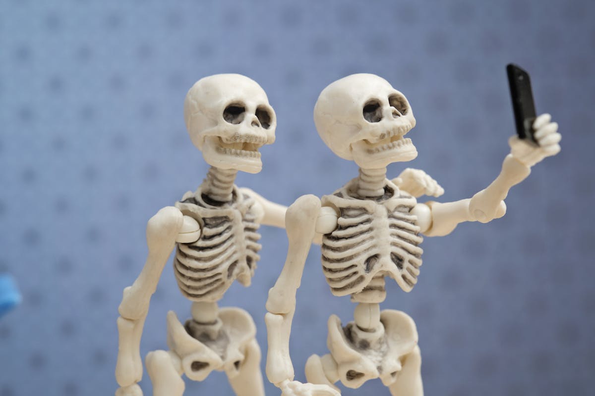 Menurut bentuknya, tulang tengkorak termasuk tulang.....