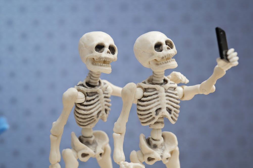 Susunan tulang-tulang yang saling berhubungan akan membentuk