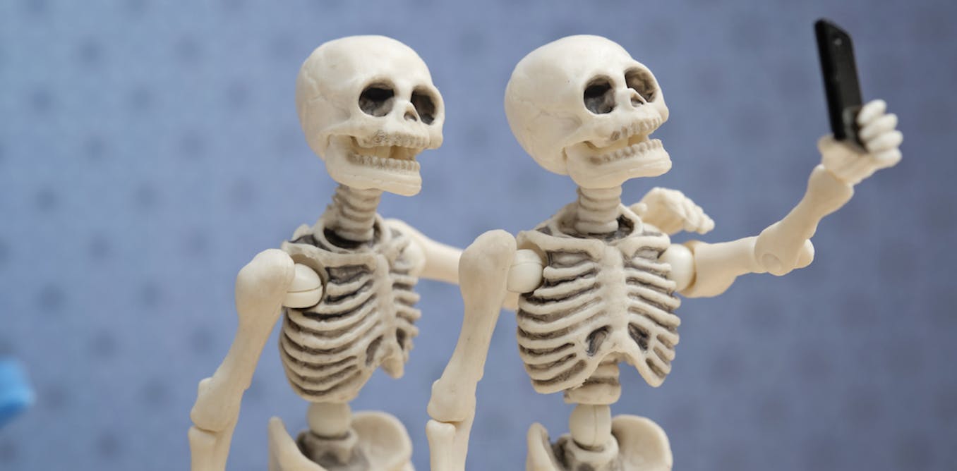 Rangka Manusia Ilmu Pengetahuan Alam