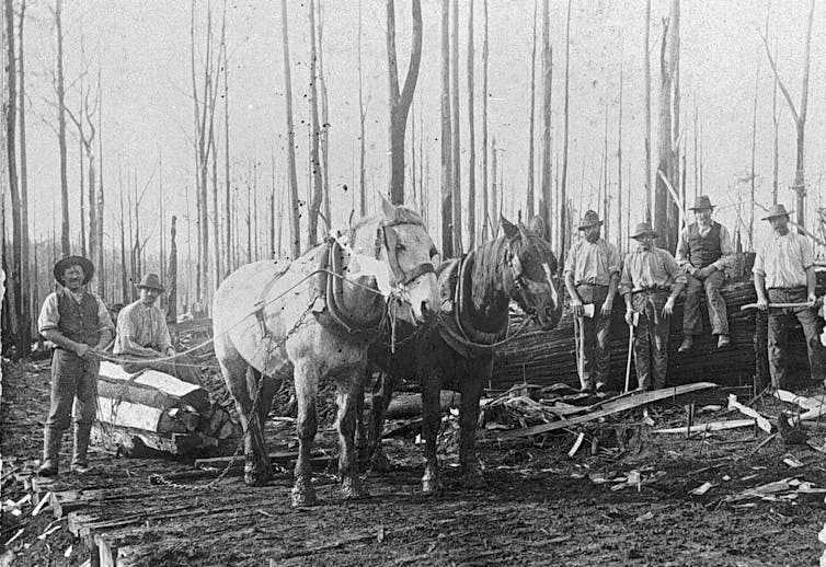 'Like volcanoes on the ranges': how Australian bushfire writing has changed with the climate