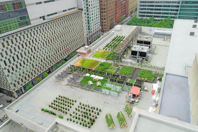 L Extraordinaire Ascension De L Agriculture Urbaine L Extraordinaire Ascension De L Agriculture Urbaine