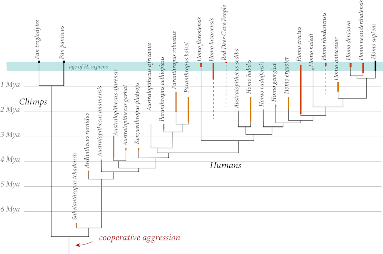 Were other humans the first victims of the sixth mass extinction? Human evolution