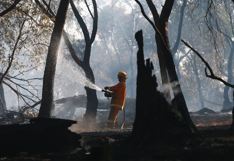 Humans light 85% of bushfires, and we do virtually nothing to stop it