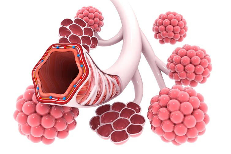 Vitamin E and vaping injuries: What's safe in your diet is rarely safe in your lungs