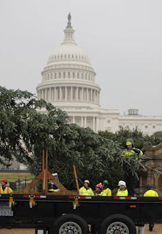 Christmas tree shopping is harder than ever, thanks to climate change and demographics