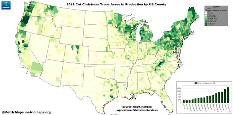 Christmas tree shopping is harder than ever, thanks to climate change and demographics