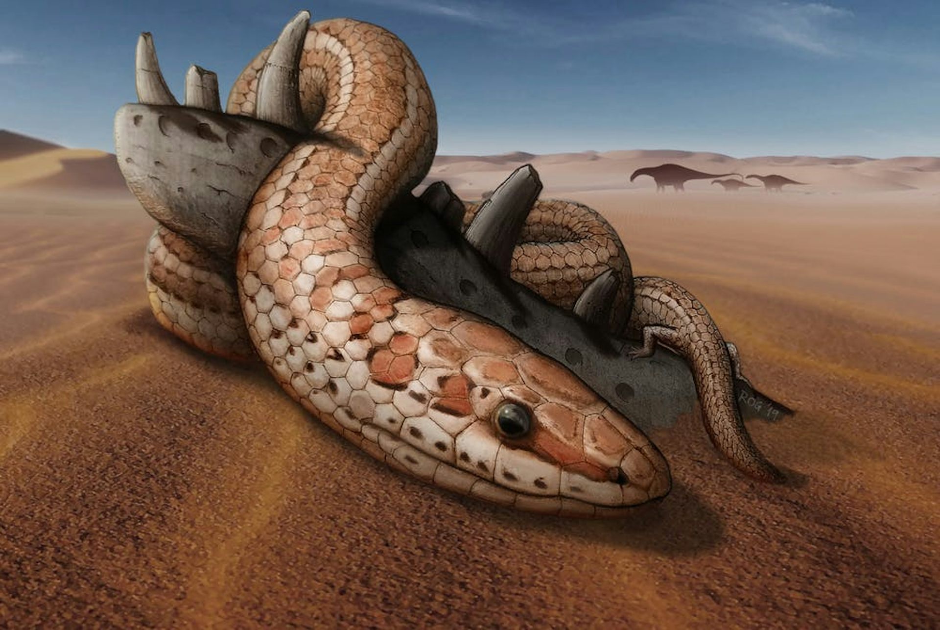 Extraordinary Skull Fossil Reveals Secrets Of Snake Evolution