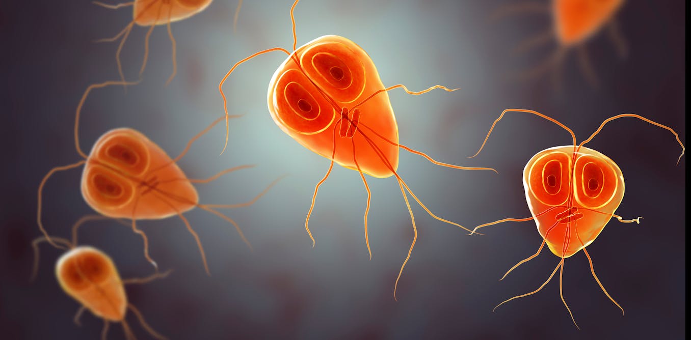 Qué son los parásitos y qué enfermedades nos causan?