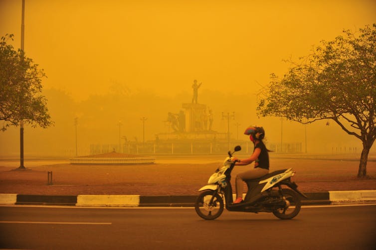 What do Sydney and other cities have in common? Dust