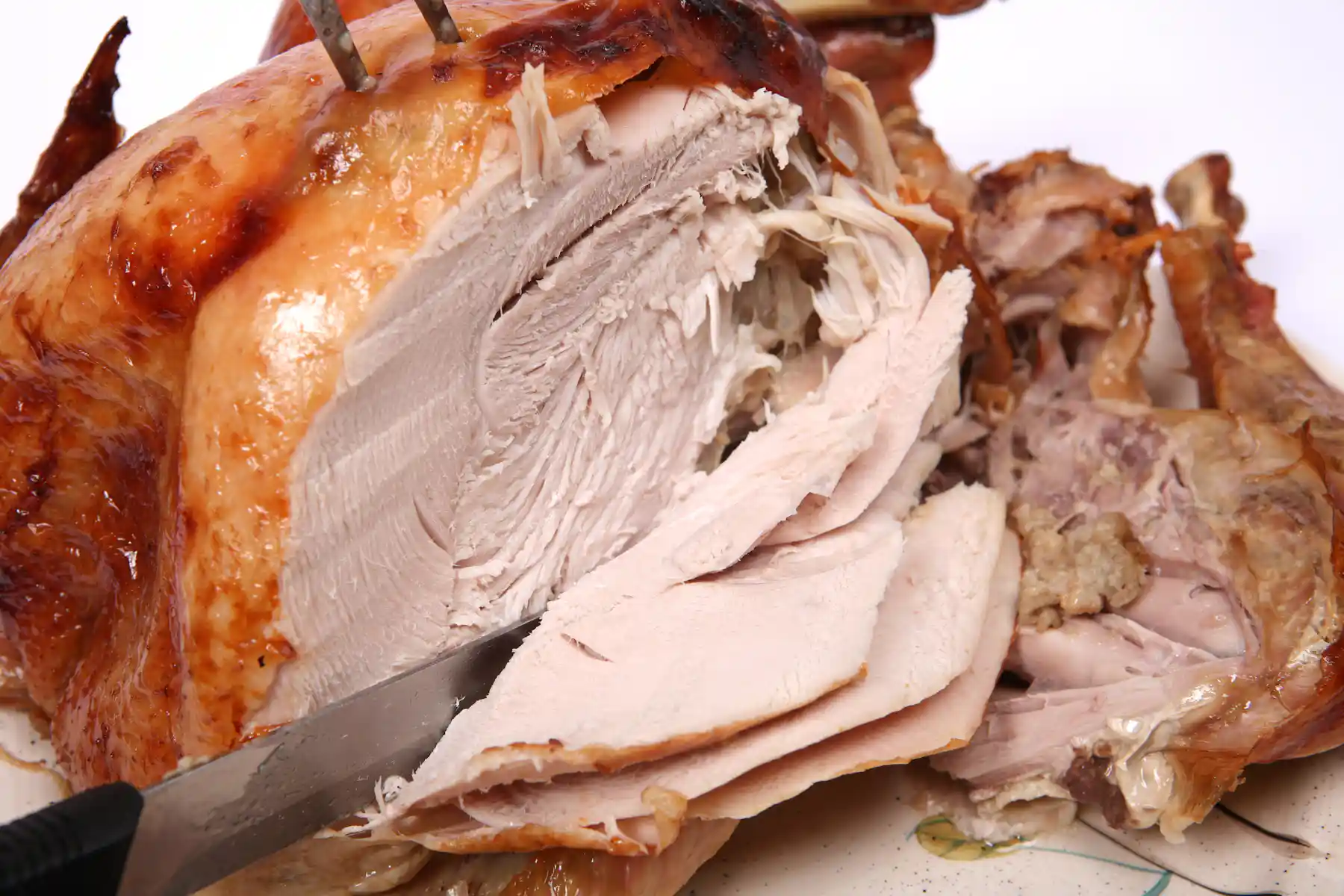 Distorted Turkey Color Light versus dark – the color of the turkey meat is due to the job of ...