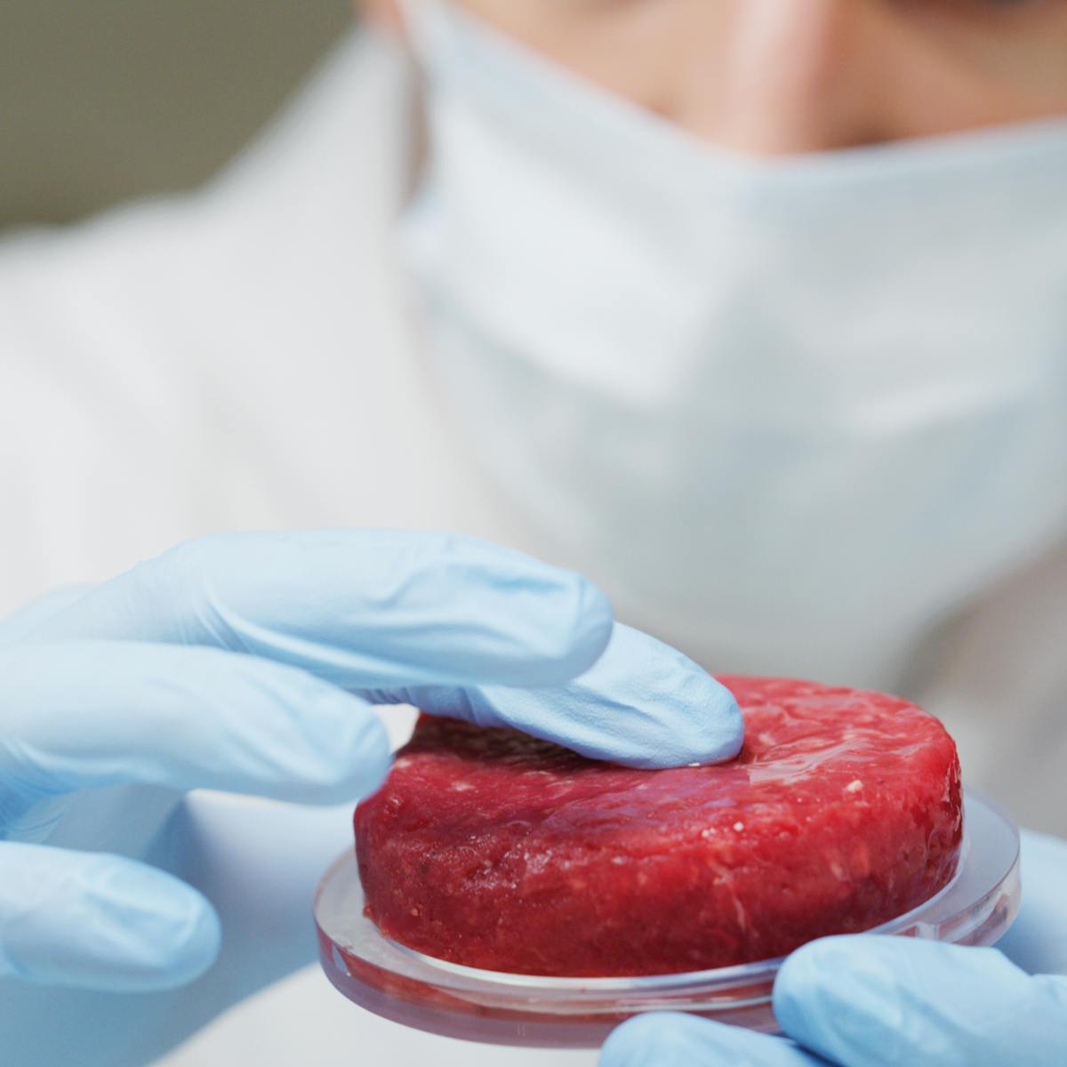 Cultured' meat could create more problems than it solves