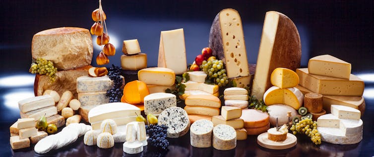 Thank fungi for cheese, wine and beer this holiday season