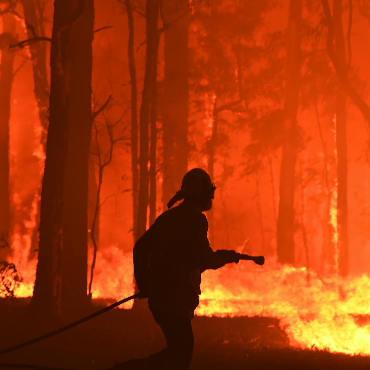 As Bushfires Intensify We Need To Acknowledge The Strain On Our Volunteers