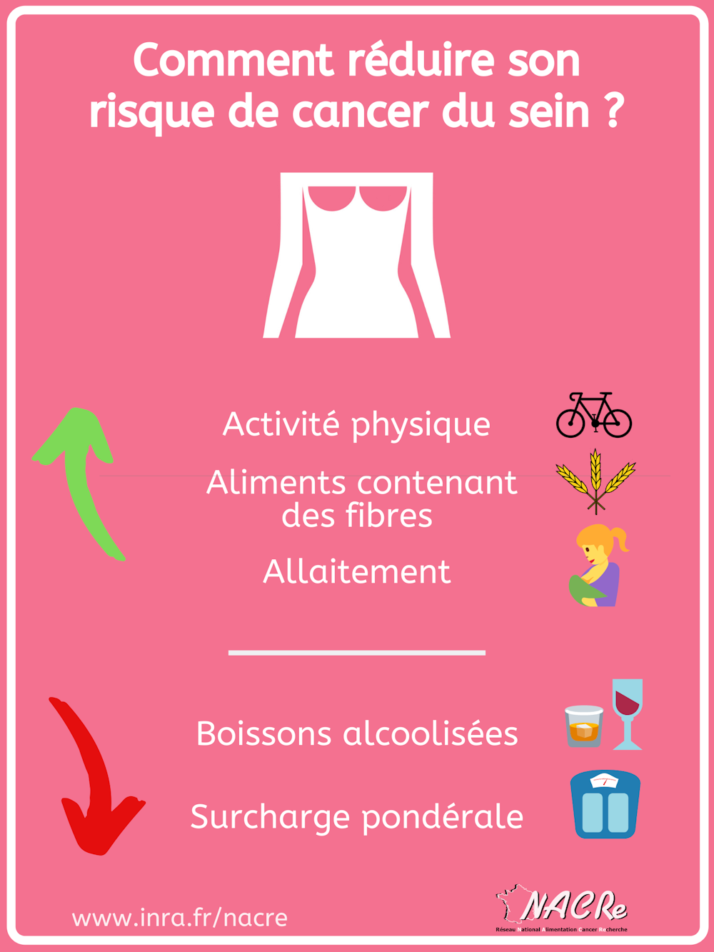 Soja et cancer du sein : des relations ambiguës | INRAE