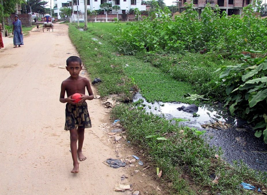 Targeting Mosquito Breeding Sites Could Help Fight Malaria